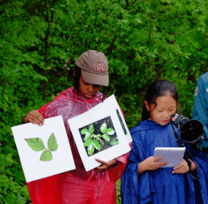 First Kids in the Forest