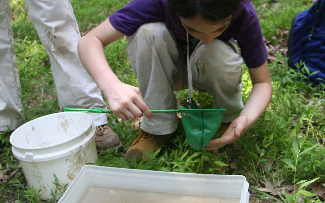 Observing Tadpoles